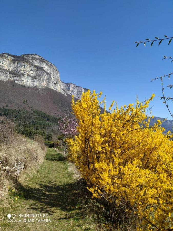 Studio Au Pied De La Montagne Et Vue Imprenable Saint-Alban  Exteriör bild