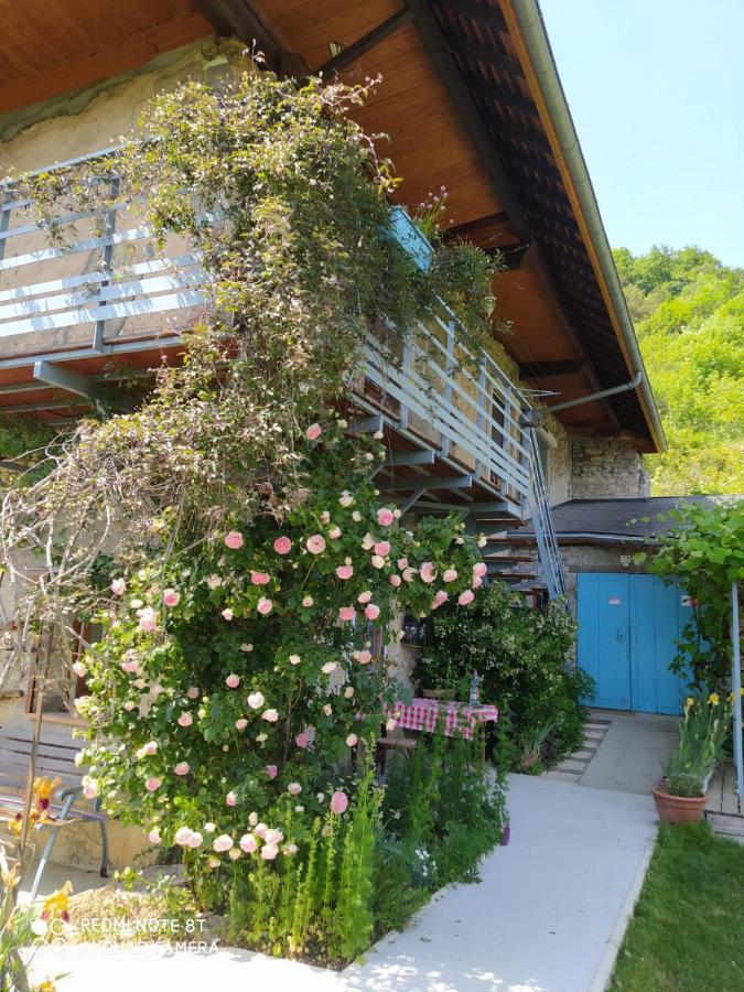 Studio Au Pied De La Montagne Et Vue Imprenable Saint-Alban  Exteriör bild