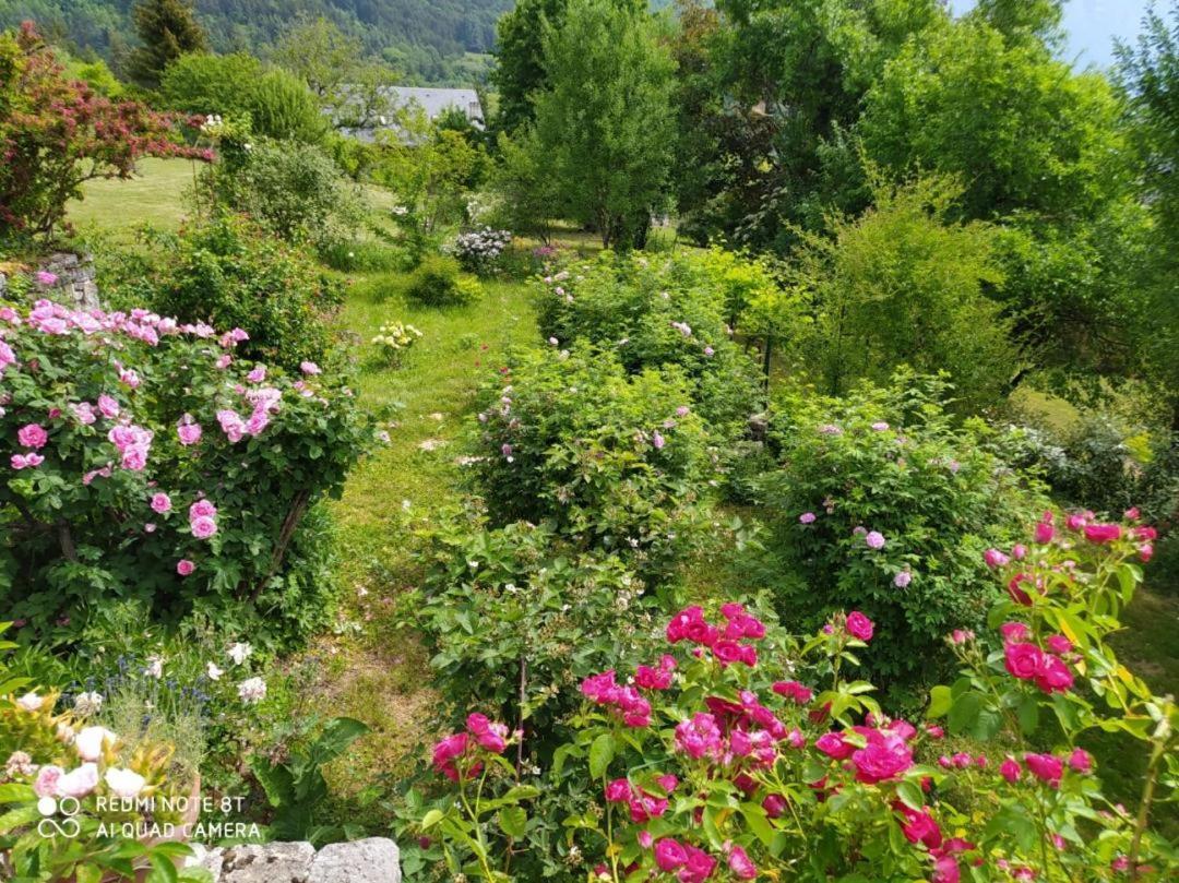 Studio Au Pied De La Montagne Et Vue Imprenable Saint-Alban  Exteriör bild