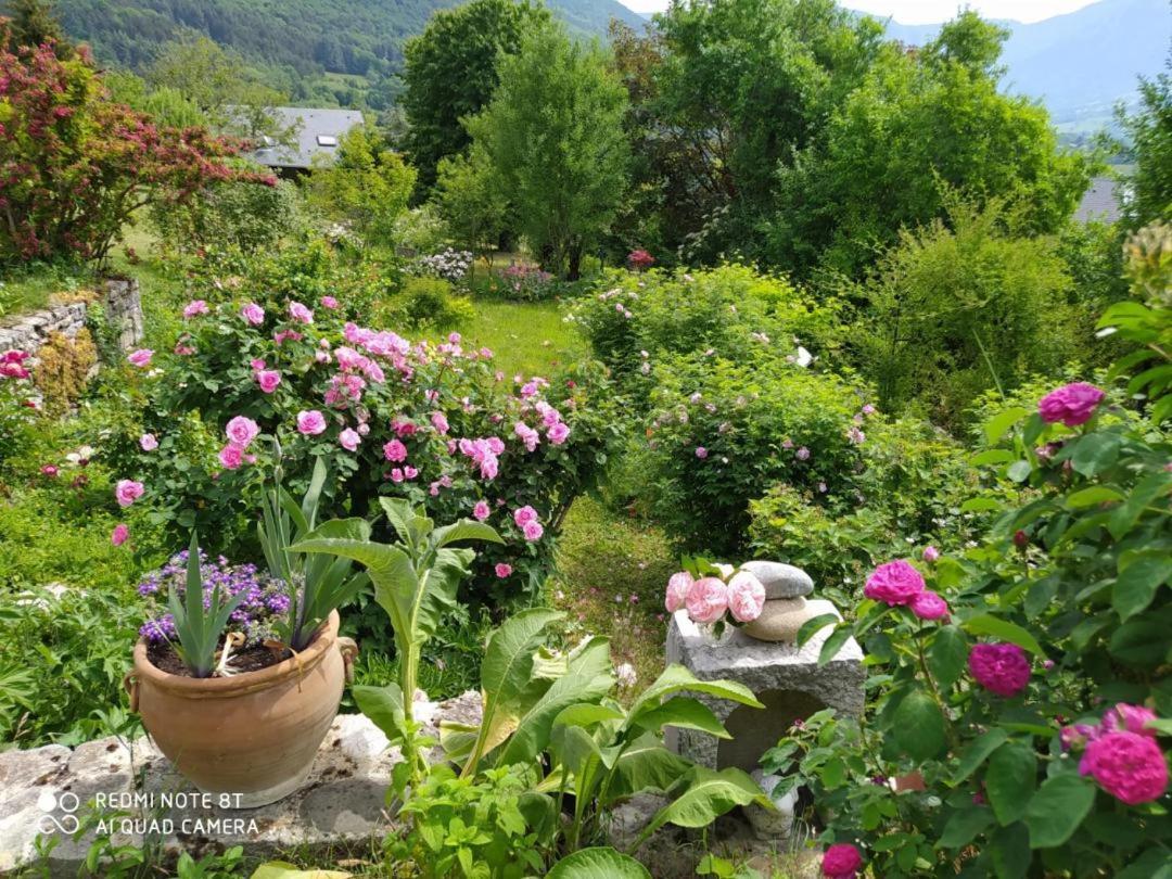 Studio Au Pied De La Montagne Et Vue Imprenable Saint-Alban  Exteriör bild